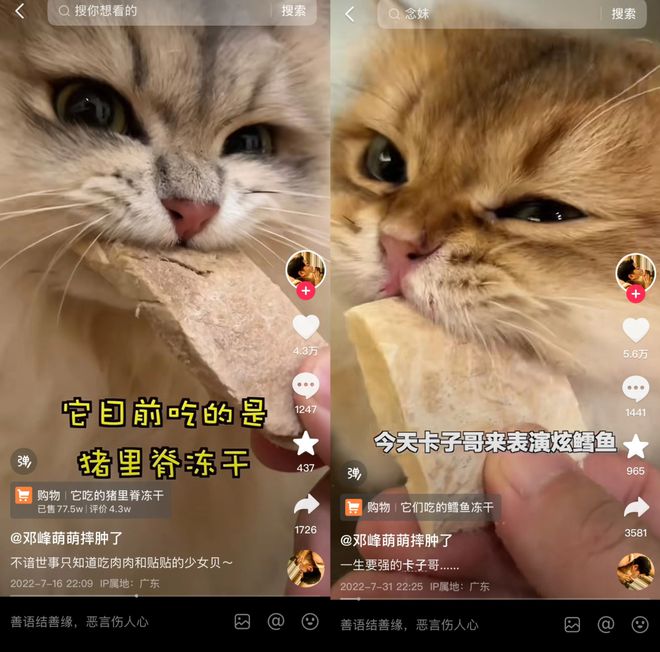 op3这条千亿赛道杀出一匹黑马ky开元棋