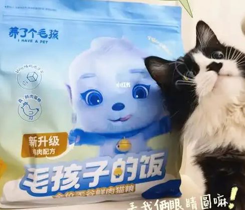 粮！三只松鼠靠什么重返宠物食品赛道开元ky棋牌零食巨头盯上毛孩子口(图4)