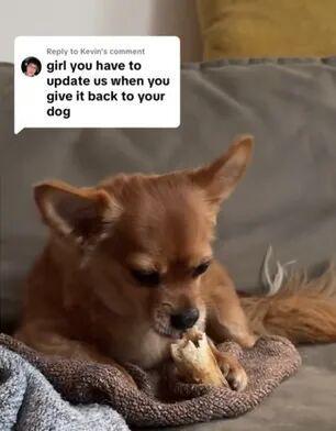 !毛孩子偷偷塞了件东西全网都被暖哭了…开元棋牌app出差打开行李箱直接泪崩(图3) !毛孩子偷偷塞了件东西全网都被暖哭了…开元棋牌app出差打开行李箱直接泪崩(图3)