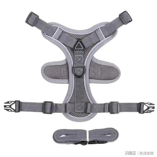 买的年货好物狗狗爱吃又营养ky开元棋牌养狗家庭最值得(图4)