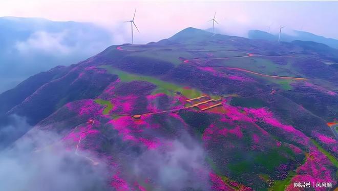 周末最新社保和高盛同时吃进宠物龙头社保新